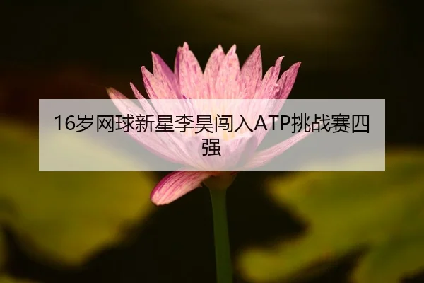 sui-wang-qiu-xin-xing-li-hao-chuang-ru-tiao-zhan-sai-si-qiang-2-551.jpg