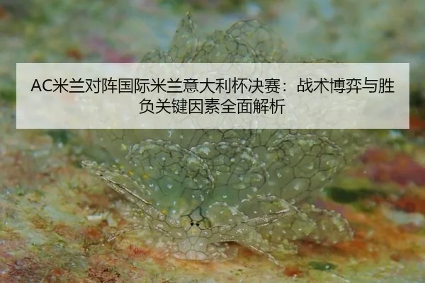 mi-lan-dui-zhen-guo-ji-mi-lan-yi-da-li-bei-jue-sai-zhan-shu-bo-yi-yu-sheng-fu-guan-jian-yin-su-quan-mian-jie-xi-2-548.jpg